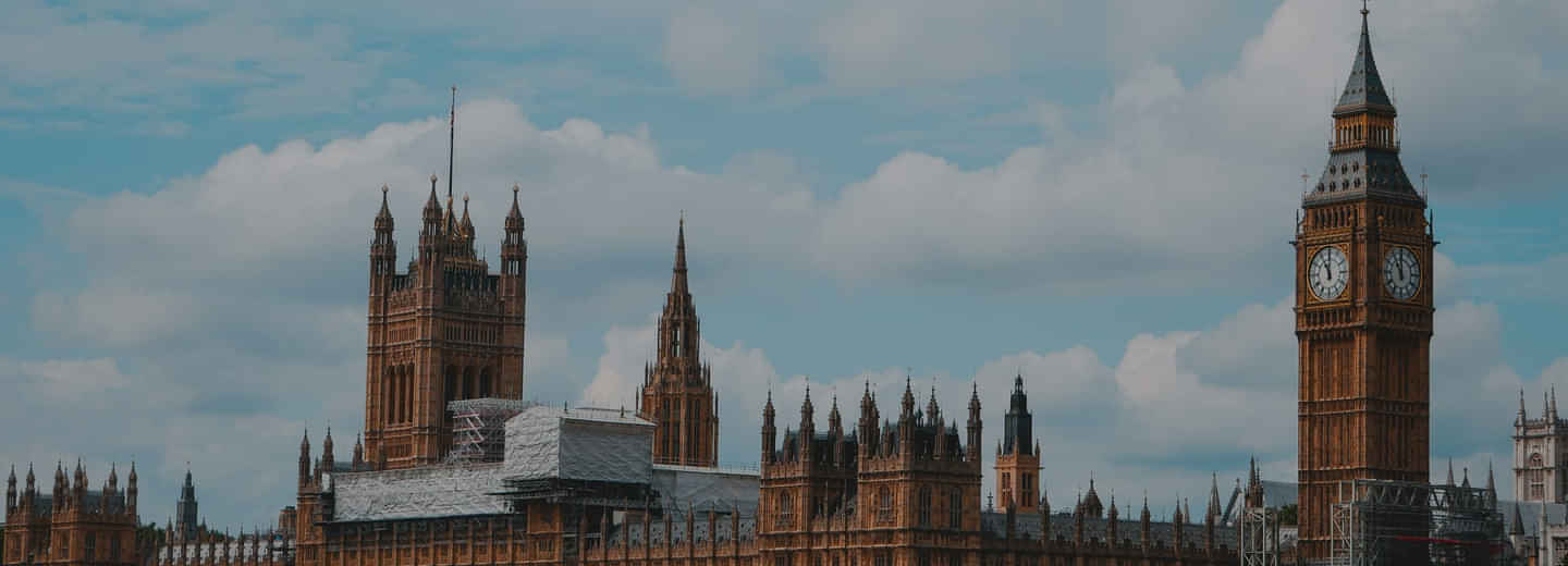 section featured image